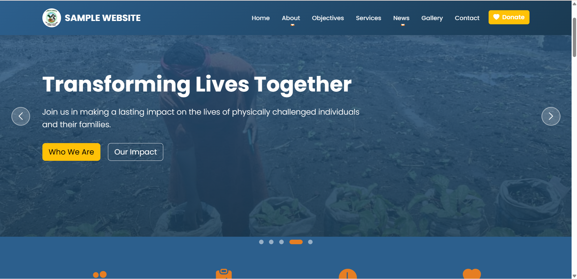 NGO or Commuity based